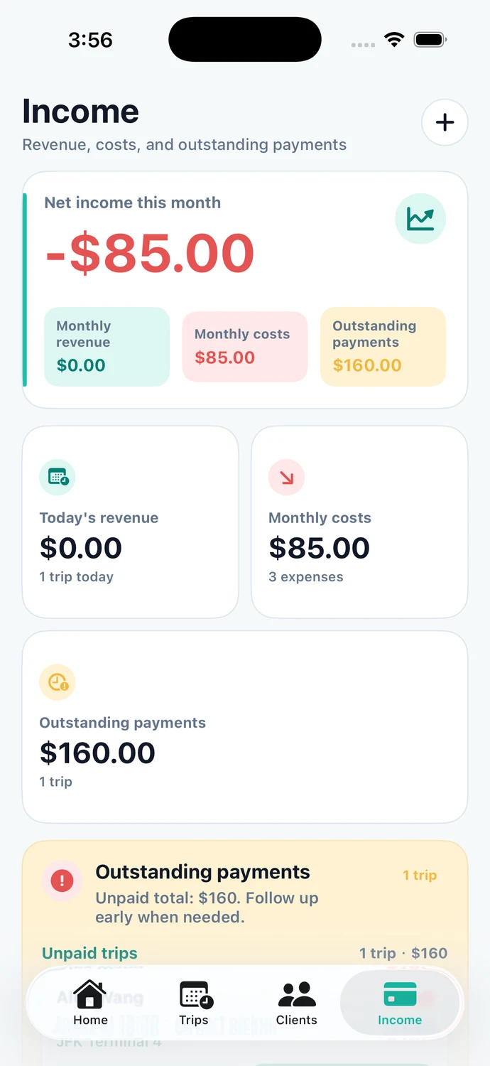 RideKip iOS income and expense screen in a demo workspace